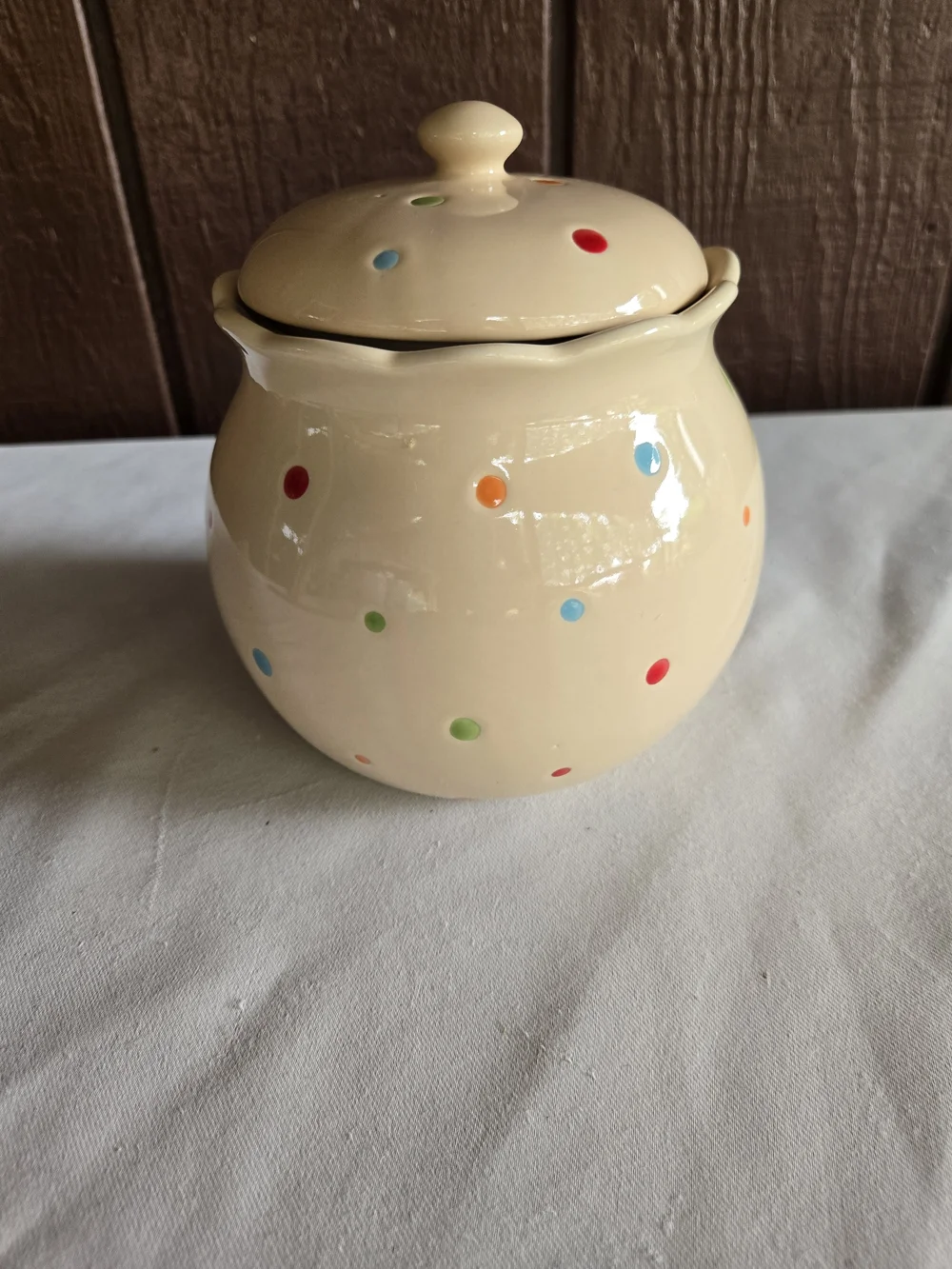 Polka Dot Ceramic 1.3qt Canister with Lid - Presentable Ovenware or Cookie Jar